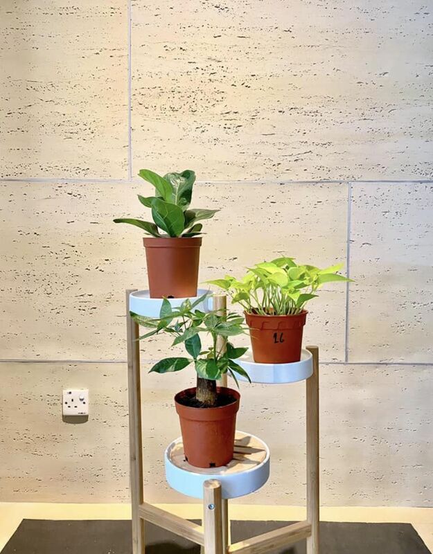 Hojas de travertino flexibles 3d panel de piedra de travertino revestimiento flexible Ms travertino ladrillos exteriores flexibles