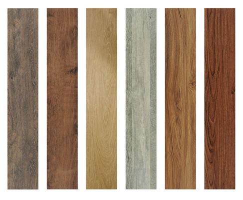 Vinilo comercial del proceso estadístico del espacio casero que suela 2m m 18