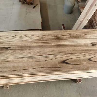 China Fabricación de madera carbonizada resistente a la humedad fuerte Paulownia