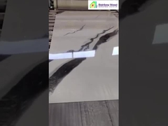 Display de hojas de mármol UV terminado